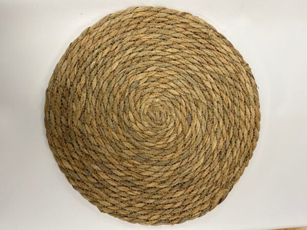 Natural Tan Charger