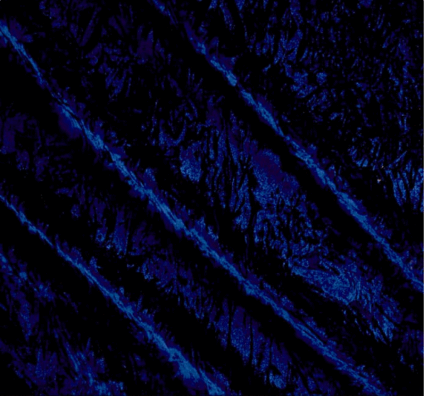 108" Navy Velvet, Round Tablecloth