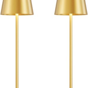 Cordless 14" Gold Table Lamp