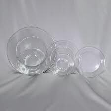 Glass 10" Plate
