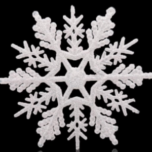 Large Snowflakes