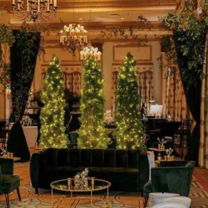 Slender Topiary Trees with Lights